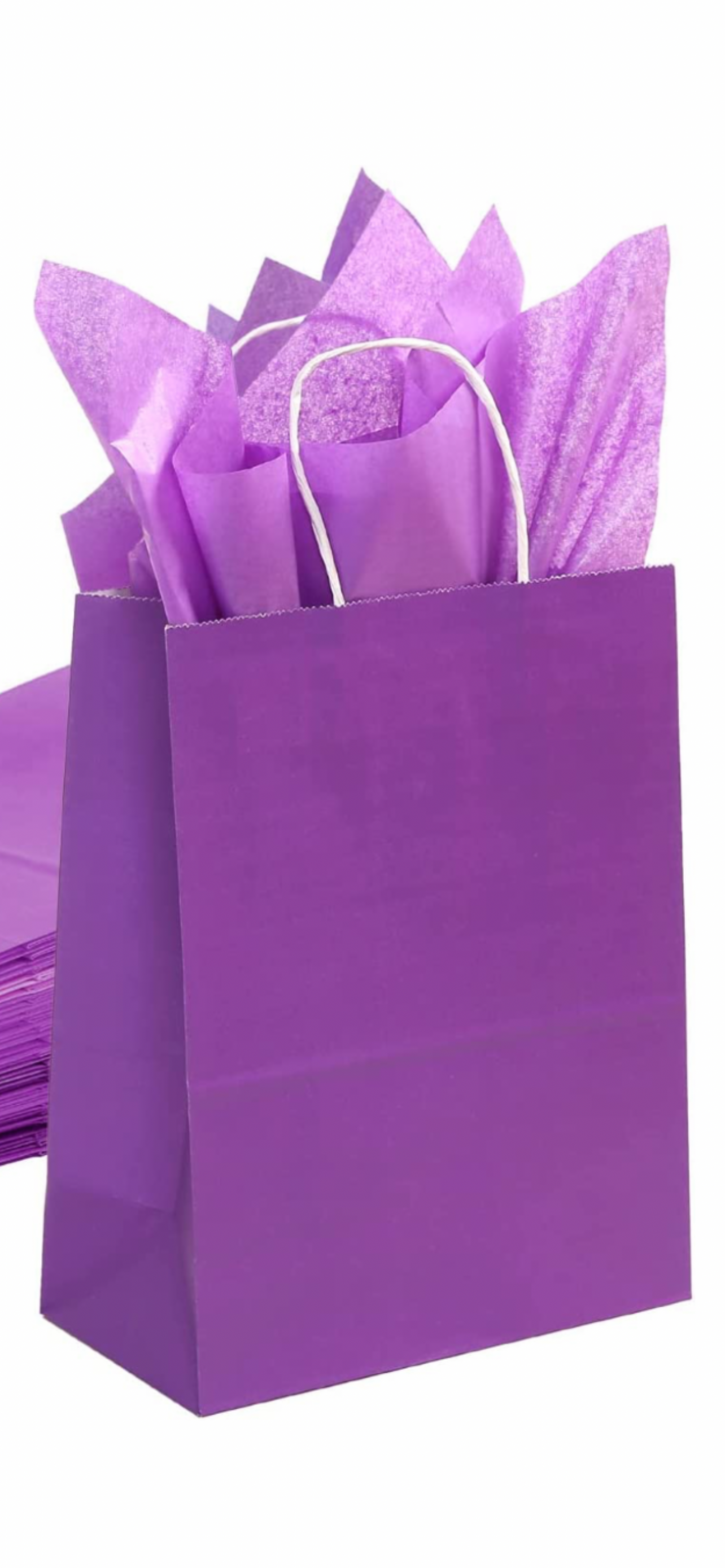 PURPLE Premium Paper GIFT BAG w/t Color Tissue Gift Paper, Medium Size 8.2x4.3x11Inch 100% Eco Recycled Paper