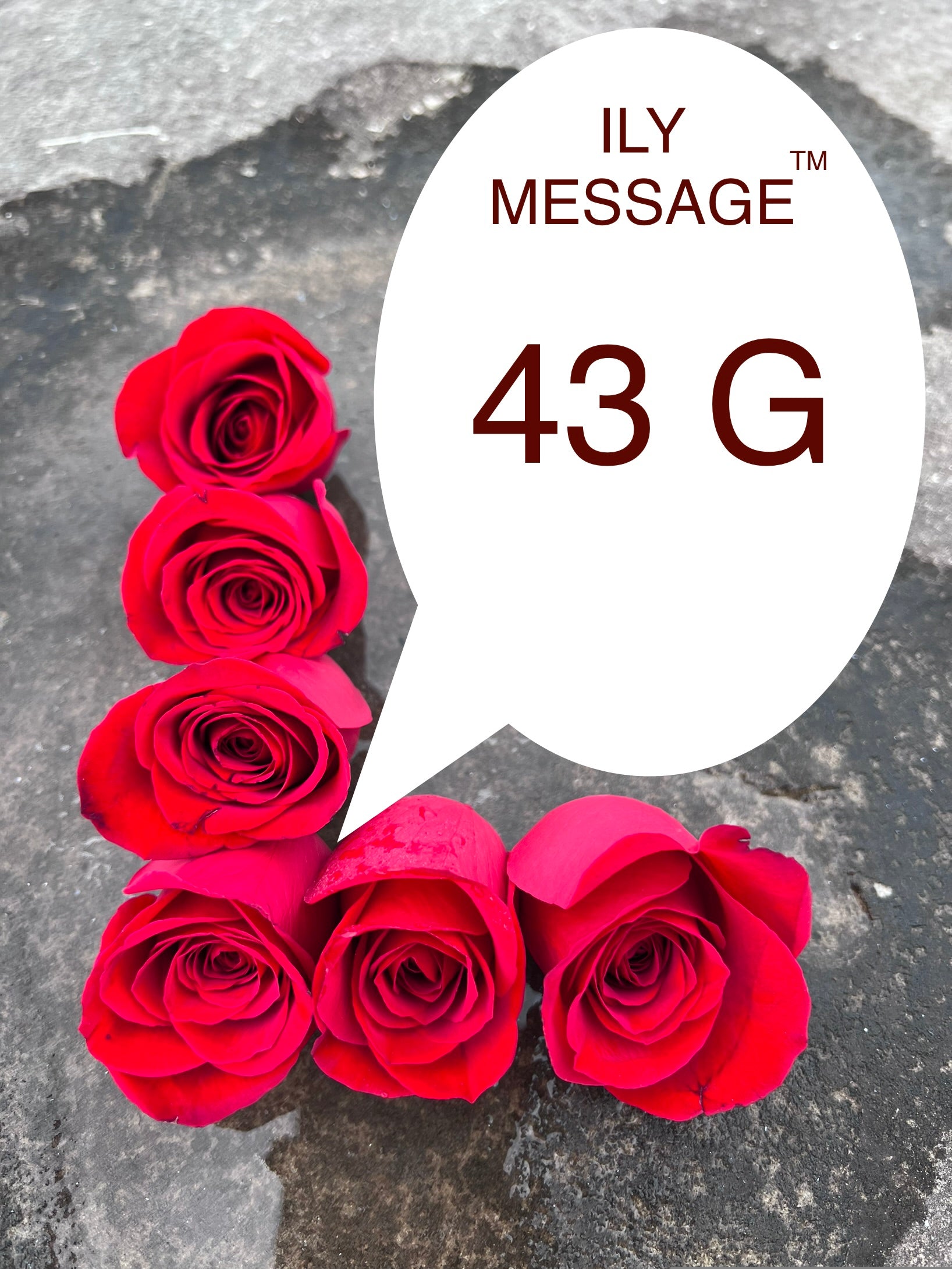 ILY Message® 43G - Every moment spent with you is a treasure, and the love that we share is boundless and invaluable.